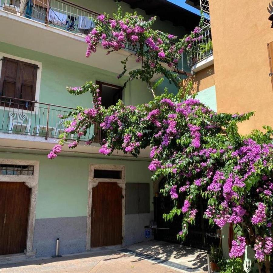 Casa Zanoni Leilighet Torbole Sul Garda Eksteriør bilde